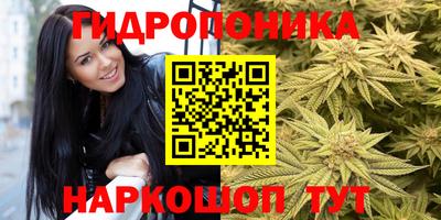 мяу мяу мука Камышлов