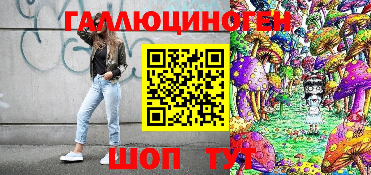 Псилоцибиновые грибы MAGIC MUSHROOMS  Вход с VPN  Вышний Волочёк  Галлюциногенные грибы Magic Shrooms 